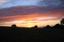 tara-at-dusk-95486_207x136