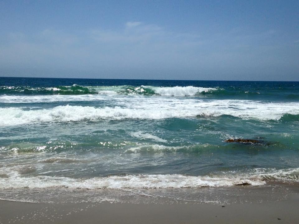 11261593_1064331516930152_2458458929397885903_n